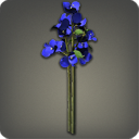 Blue Paperflowers