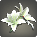 Sacramental Lilies