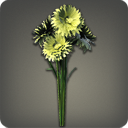 コーンフラワー:イエロー