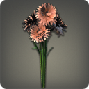 コーンフラワー:オレンジ