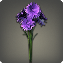 コーンフラワー:パープル