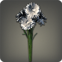 コーンフラワー:ホワイト