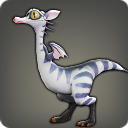 Baby Raptor