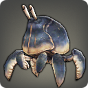 Smallshell