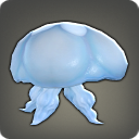 Aurelia Polyp