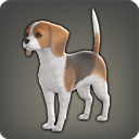 Royal Hound