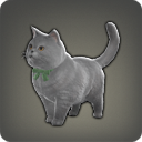 ラノシアンショートヘア