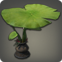 Lotus Parasol