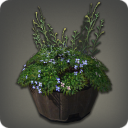 Low Barrel Planter