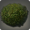 Rounded Shrub