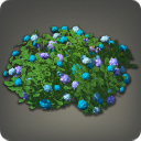 Plot of Hydrangeas