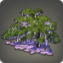 Eastern Wisteria