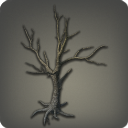 Coldbare Tree