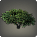La Noscean Orange Tree