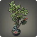 イル・メグ・プランター