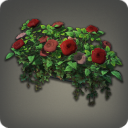 Oldrose Wall Planter