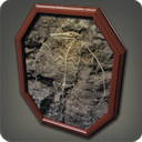 Winged Scalekin Fossil