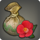 ティーフラワーの種