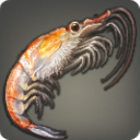 Krill