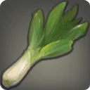 Island Leek