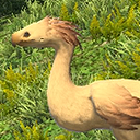 Chocobo