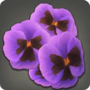 Purple Viola Corsage