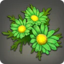 Green Daisy Corsage