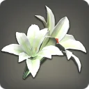 White Brightlily Corsage