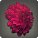 Red Dahlia Corsage