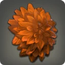 Orange Dahlia Corsage