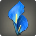 Blue Arum Corsage