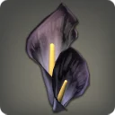 Black Arum Corsage