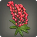 Red Lupin Corsage