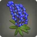 Blue Lupin Corsage