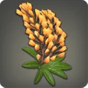 Orange Lupin Corsage