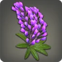 Purple Lupin Corsage