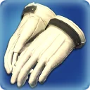 Cauldronsoph's Gloves