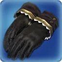 Academic's Gloves