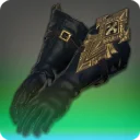 Anamnesis Gloves of Casting