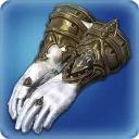 Therapeutes's Gloves