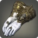 Bookwyrm's Gloves