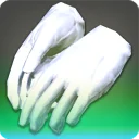 Gloves of Eternal Passion
