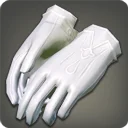 Loyal Butler's Gloves