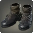 Pteroskin Shoes