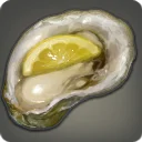 Raw Oyster