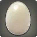 Chicken Egg