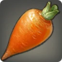 Coerthan Carrot