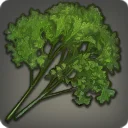 Highland Parsley