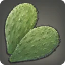 Nopales