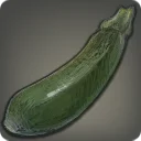 Ramhorn Zucchini